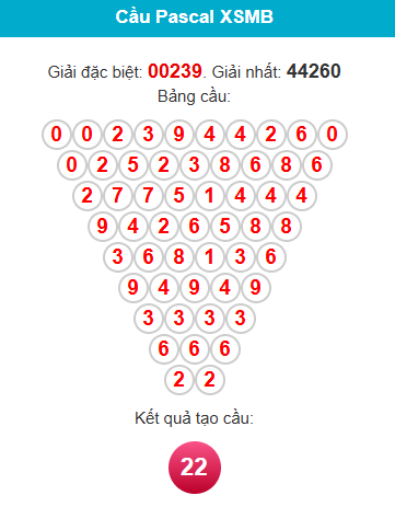 pascal-mb-ngay-25-11