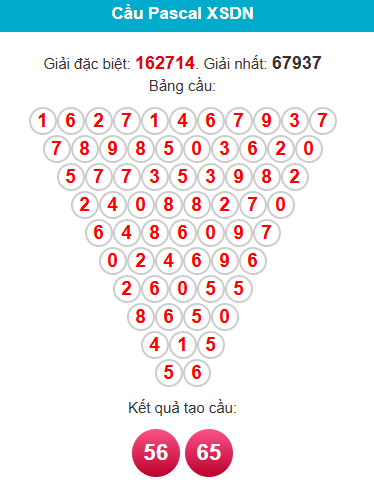 pascal-dong-nai-ngay-1-7