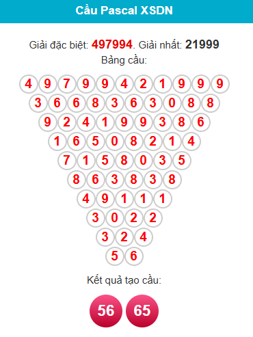 pascal-dong-nai-ngay-28-1