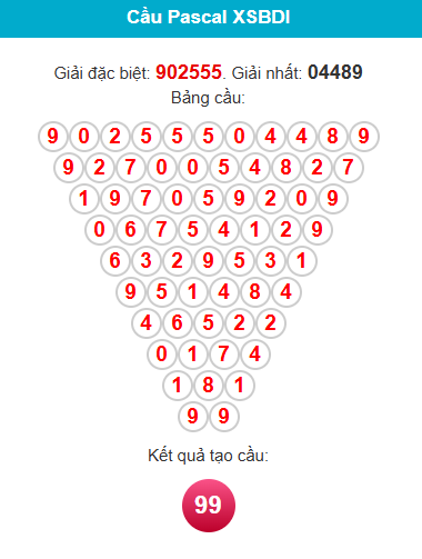 /pascal-binh-dinh-ngay-01-01