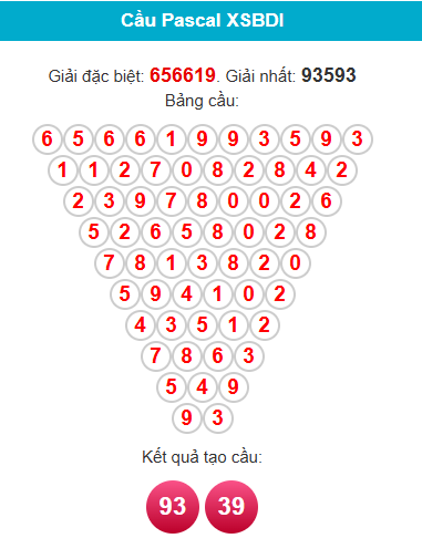 pascal-binh-dinh-ngay-20-11