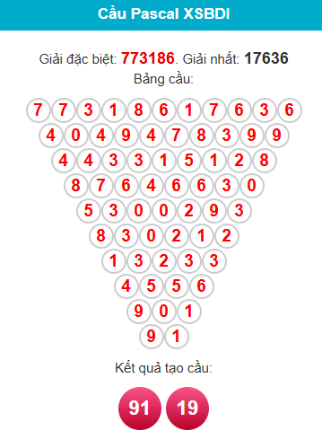 pascal-binh-dinh-ngay-28-5 pascal-binh-dinh-ngay-28-5
