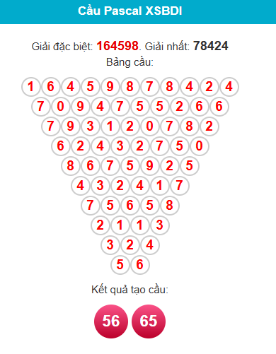 pascal-binh-dinh-ngay-8-1