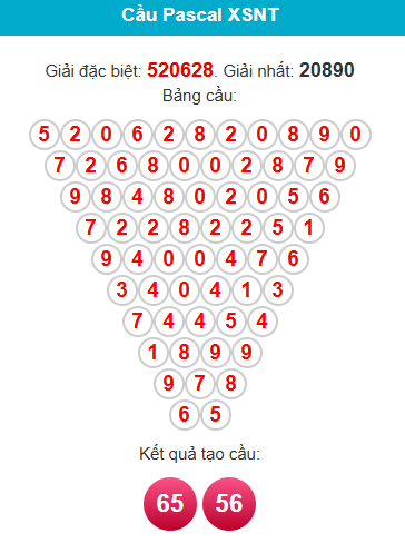 pascal-ninh-thuan-ngay-02-01