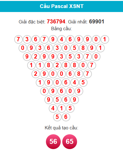 pascal-ninh-thuan-ngay-13-3