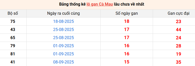 lo-gan-ca-mau-ngay-29-12