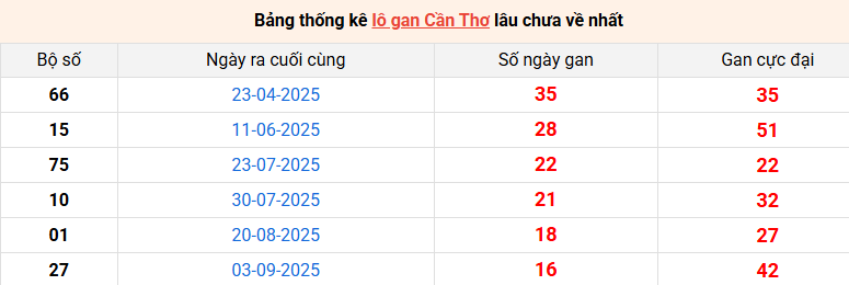 lo-gan-can-tho-ngay-31-12