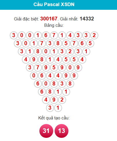 pascal-dong-nai-ngay-26-11