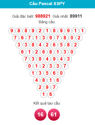 pascal-phu-yen-ngay-26-1