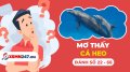 Mơ thấy cá heo đánh con gì - Nằm mơ thấy con cá heo là điềm gì