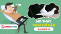 Mơ thấy chim bồ câu số mấy - Nằm mơ thấy chim bồ câu là điềm gì
