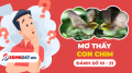 Mơ thấy con chim số mấy - Nằm mơ thấy chim đánh con gì