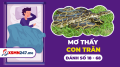 Mơ thấy trăn đánh con gì - Nằm mơ con thấy trăn là điềm gì