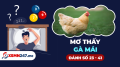 Nằm mơ thấy gà mái đánh con gì? - Mơ thấy con gà mái là số mấy?