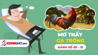 Nằm mơ thấy gà trống đánh con gì? - Mơ thấy con gà trống đánh số mấy?