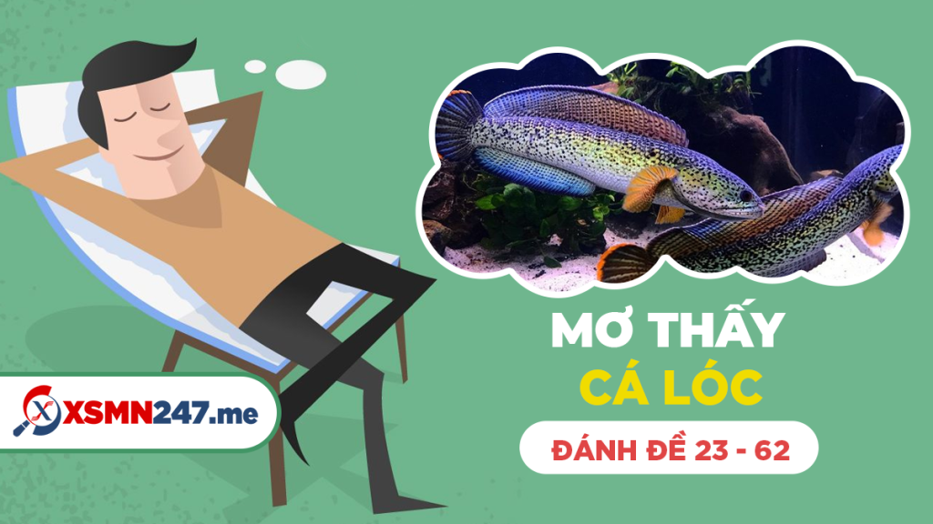 Mơ thấy cá lóc – Giải mã những điều bí ẩn cùng Sunwin