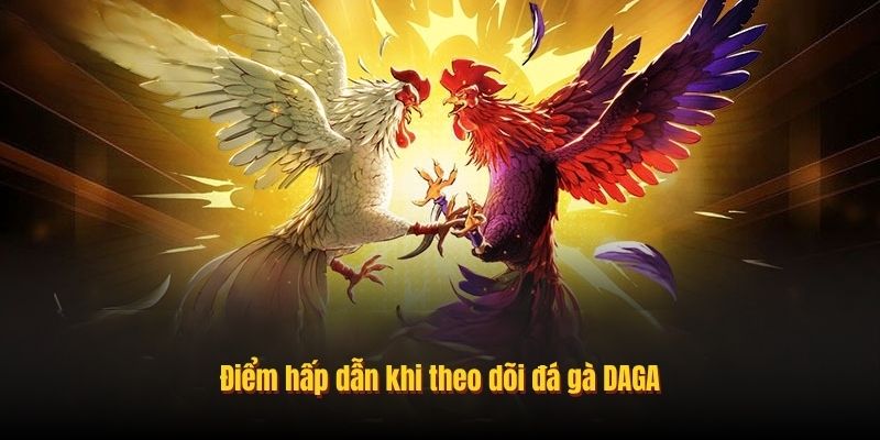 Điểm hấp dẫn khi theo dõi đá gà DAGA