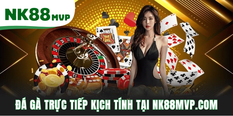 Đá Gà Trực Tiếp Kịch Tính Tại NK88MVP.COM