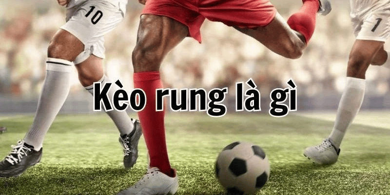 Khái niệm cơ bản, đặc điểm và cách hiển thị dữ liệu
